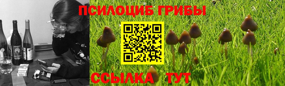 Галлюциногенные грибы MAGIC MUSHROOMS  Вход с VPN  Черкесск  Галлюциногенные грибы MAGIC MUSHROOMS 