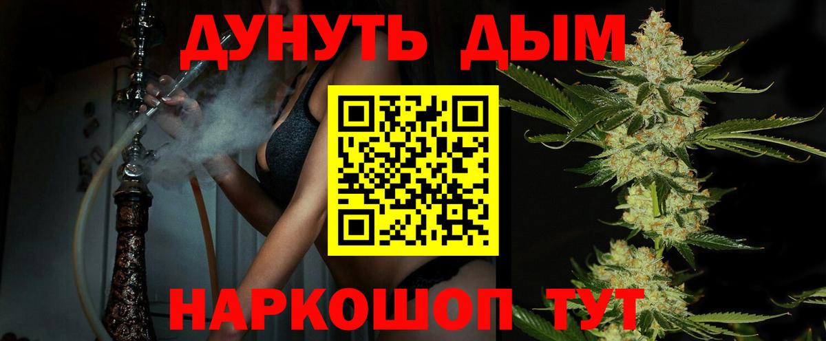 Марихуана сатива Черкесск